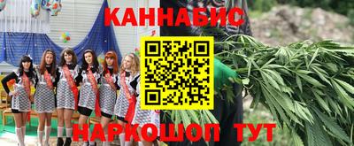 шишки Гатчина