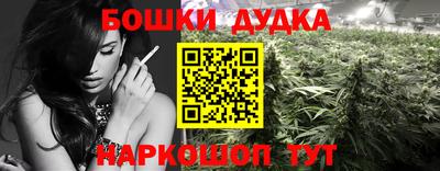 шишки Гатчина