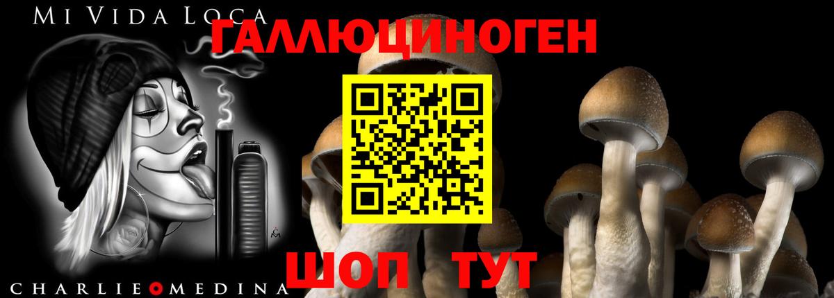 Галлюциногенные грибы Magic Shrooms Бугуруслан