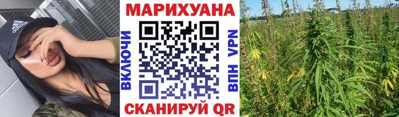 магазин продажи   Бугуруслан  Канабис гибрид 